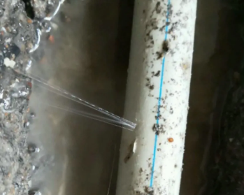 顺德卫生间测漏水多少钱
